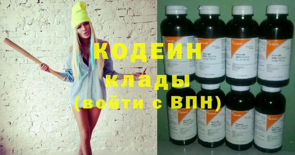 шишки Медвежьегорск