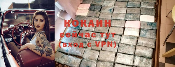 шишки Медвежьегорск