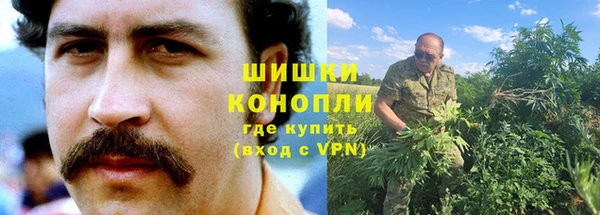 шишки Медвежьегорск
