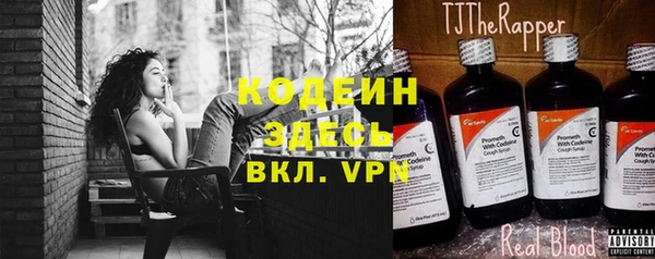 шишки Медвежьегорск