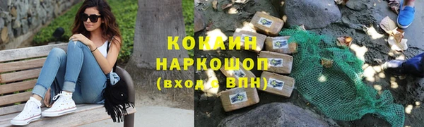 шишки Медвежьегорск