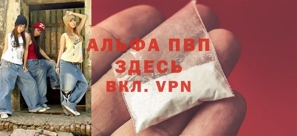 шишки Медвежьегорск